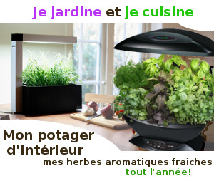 potager pour dans la maison en appartement