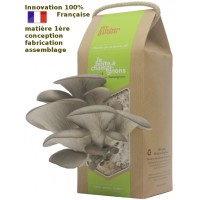 Kit à champignons - la boite à champignons