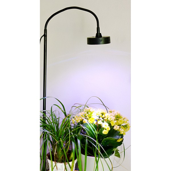 Lampe horticole LED : les 10 meilleures pour vos plantes