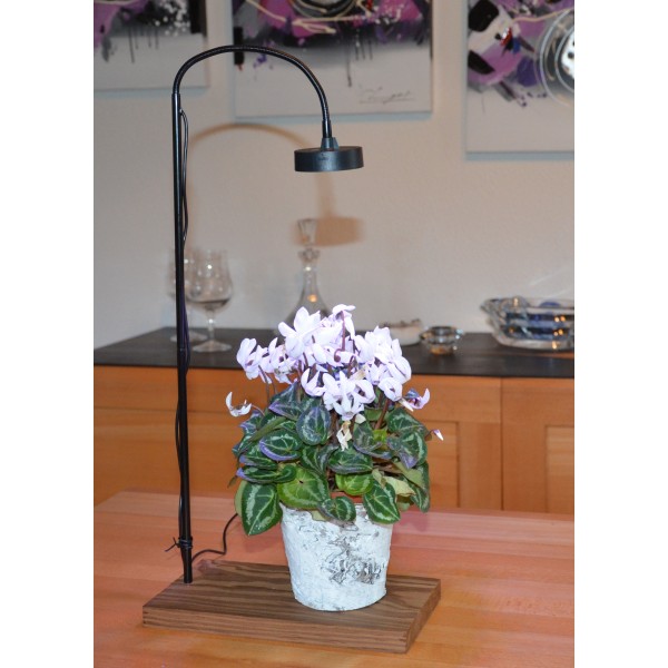 lampe pour plante Jardilampe