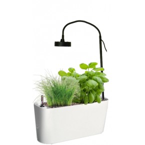 https://www.jardinageinterieur.fr/128-557-thickbox_default/potager-delta.jpg