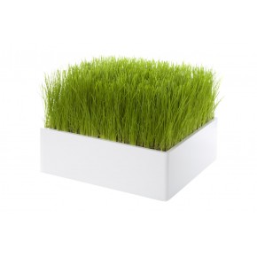 https://www.jardinageinterieur.fr/47-229-thickbox_default/pre-vert-design-gazon.jpg