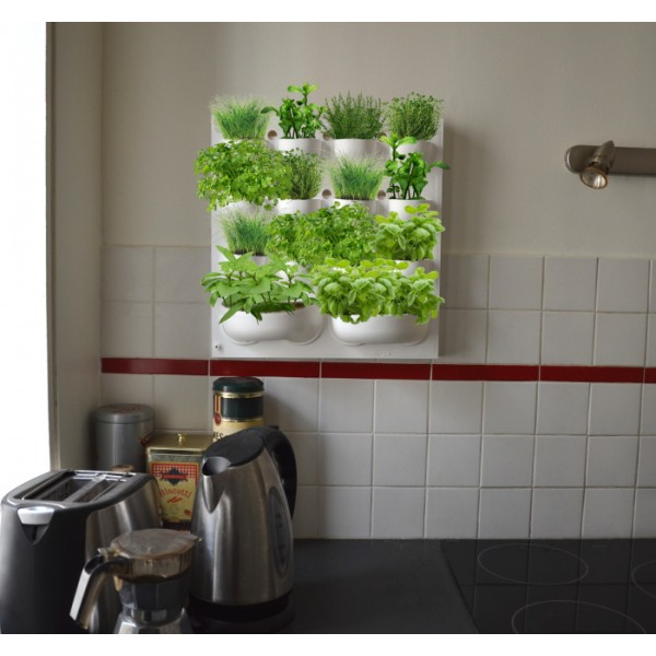 Potager mural pour herbes aromatiques